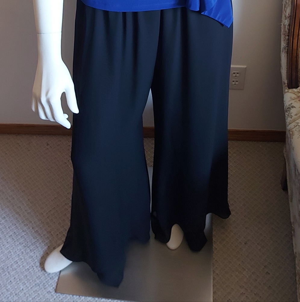 NWT Sheer black evening pants, size LP - Picture 3 of 5
